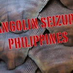Philippines: Pangolin Scales and Flesh Seized at Airport