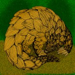 25 Facts About Pangolins!