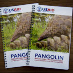 USAID Unveils Field Guide to Combat Pangolin Trafficking